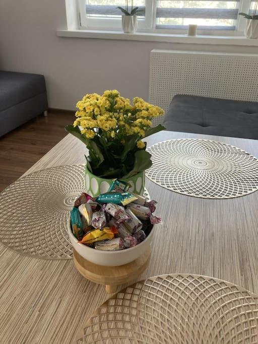 Apartament W Centrum Malborka Bagian luar foto