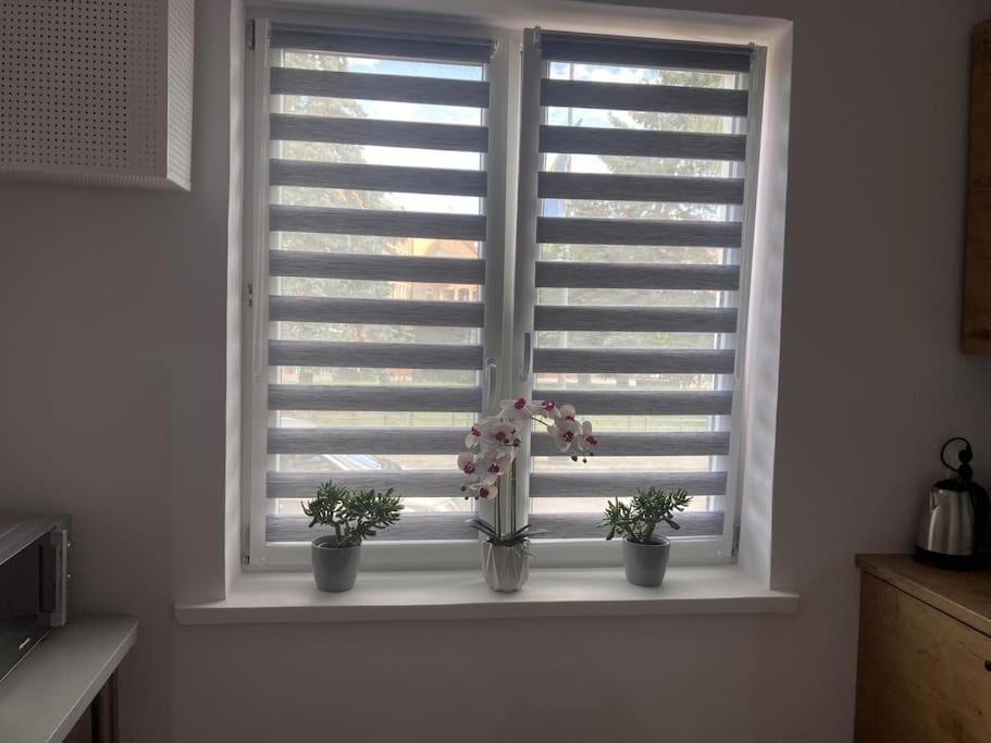 Apartament W Centrum Malborka Bagian luar foto